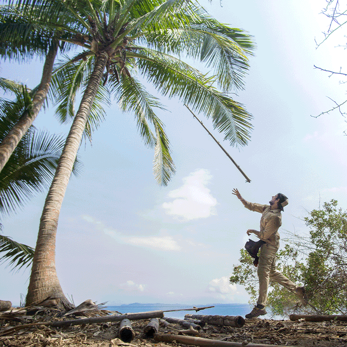Desert Island: The Shipwrecked Survival Experience